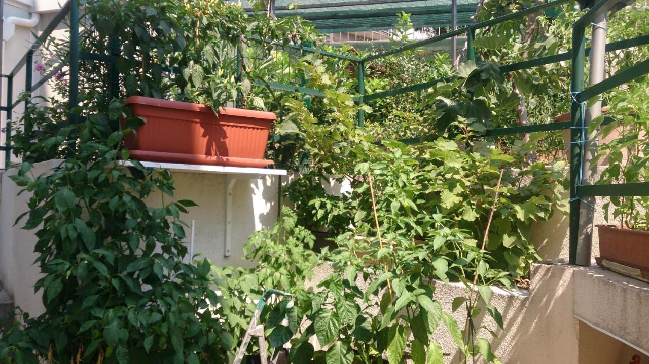 Apartman Paro Split Exterior photo
